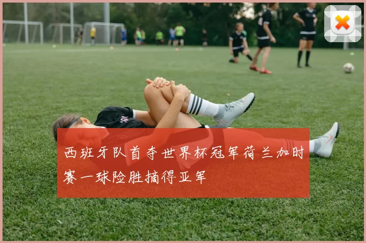 西班牙队首夺世界杯冠军荷兰加时赛一球险胜摘得亚军