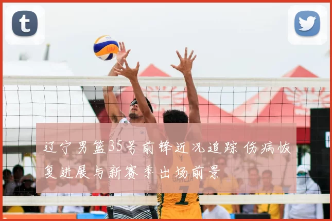 辽宁男篮35号前锋近况追踪 伤病恢复进展与新赛季出场前景