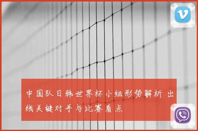 中国队日韩世界杯小组形势解析 出线关键对手与比赛看点
